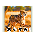 世界の動物図鑑:日本語（個別スタンプ：25）