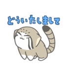 赤ちゃんまぬぬねこ（マヌルネコ）（個別スタンプ：19）