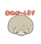 赤ちゃんまぬぬねこ（マヌルネコ）（個別スタンプ：26）