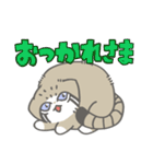 赤ちゃんまぬぬねこ（マヌルネコ）（個別スタンプ：31）