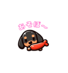 黒いダックスフント（個別スタンプ：5）