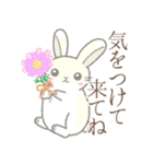 待ち合わせ※うさぎさん（個別スタンプ：33）