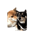 柴犬兄妹 久兵衛 梅（個別スタンプ：2）