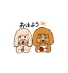 ChaCha ＆ Penelope（個別スタンプ：1）