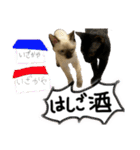 お酒とネコ好きな日常会話12（個別スタンプ：2）