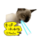 お酒とネコ好きな日常会話12（個別スタンプ：4）