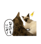お酒とネコ好きな日常会話12（個別スタンプ：6）
