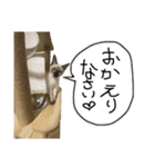 お酒とネコ好きな日常会話12（個別スタンプ：11）