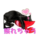 お酒とネコ好きな日常会話12（個別スタンプ：16）