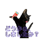 お酒とネコ好きな日常会話12（個別スタンプ：34）