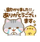 ねこねこにゃんこ♡毎日使える敬語（個別スタンプ：10）