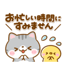 ねこねこにゃんこ♡毎日使える敬語（個別スタンプ：17）