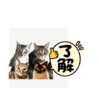 ミルクかわジルちび（個別スタンプ：2）