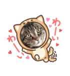 ミルクかわジルちび（個別スタンプ：12）