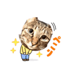 ミルクかわジルちび（個別スタンプ：16）