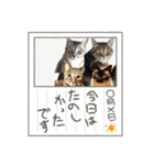 ミルクかわジルちび（個別スタンプ：17）