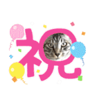 ミルクかわジルちび（個別スタンプ：23）