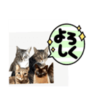 ミルクかわジルちび（個別スタンプ：24）