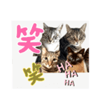 ミルクかわジルちび（個別スタンプ：27）