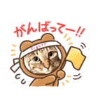 ミルクかわジルちび（個別スタンプ：28）