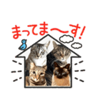 ミルクかわジルちび（個別スタンプ：33）
