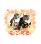 ミルクかわジルちび（個別スタンプ：35）