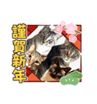 ミルクかわジルちび（個別スタンプ：40）