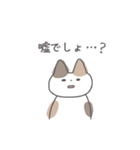 みけにゃんず(友達や後輩に使いやすい)（個別スタンプ：34）