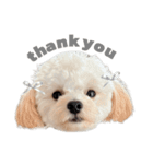 犬のモノトーンスタンプ（個別スタンプ：2）