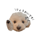 犬のモノトーンスタンプ（個別スタンプ：4）