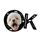 犬のモノトーンスタンプ（個別スタンプ：6）