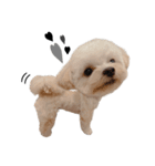 犬のモノトーンスタンプ（個別スタンプ：8）