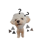 犬のモノトーンスタンプ（個別スタンプ：12）
