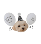 犬のモノトーンスタンプ（個別スタンプ：15）