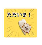 毎日にもっとわんこを（個別スタンプ：21）