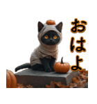 飛び出す★墓まで使えるAIハロウィン黒猫（個別スタンプ：1）