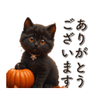 飛び出す★墓まで使えるAIハロウィン黒猫（個別スタンプ：5）