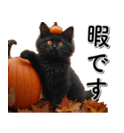 飛び出す★墓まで使えるAIハロウィン黒猫（個別スタンプ：17）