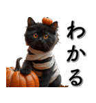 飛び出す★墓まで使えるAIハロウィン黒猫（個別スタンプ：18）