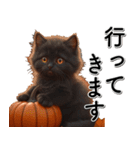 飛び出す★墓まで使えるAIハロウィン黒猫（個別スタンプ：24）