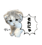 シュウマイのすたんぷ！（個別スタンプ：6）