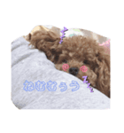 めろめろまろん♡4（個別スタンプ：4）
