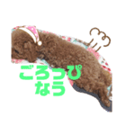 めろめろまろん♡4（個別スタンプ：5）