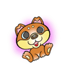 柴犬と一緒の時間（個別スタンプ：1）