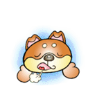 柴犬と一緒の時間（個別スタンプ：17）