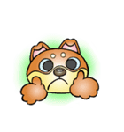 柴犬と一緒の時間（個別スタンプ：18）