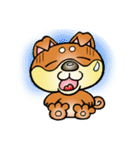 柴犬と一緒の時間（個別スタンプ：21）