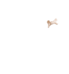ととちゃんスタンプデビュー（個別スタンプ：37）