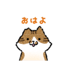 みなこさんちの猫さんたち（個別スタンプ：1）