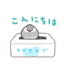 毎日使える文鳥さん（個別スタンプ：3）